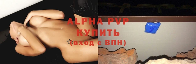 ECSTASY Белокуриха