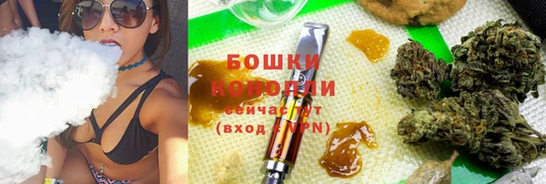 индика Белоозёрский