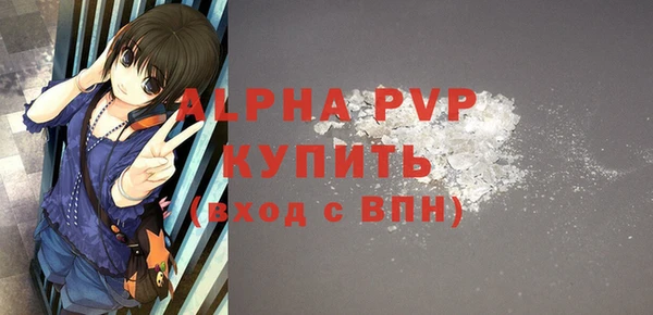 индика Белоозёрский