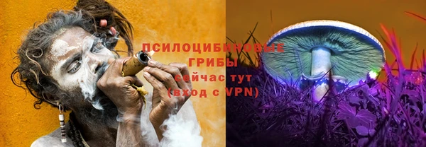 соль ск Балабаново