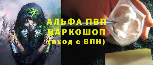 ECSTASY Белокуриха